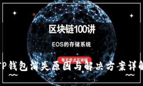 TP钱包消失原因与解决方案详解