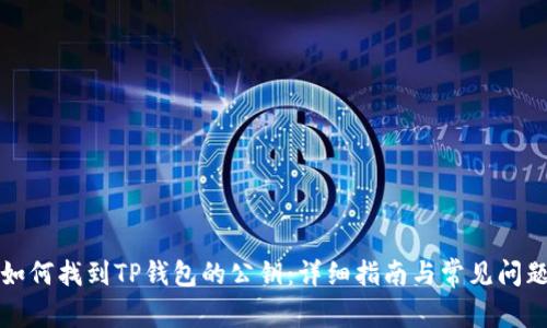 如何找到TP钱包的公钥：详细指南与常见问题