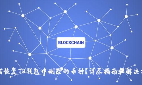 如何恢复TP钱包中删除的币种？详尽指南和解决方案
