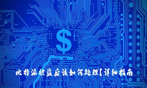 比特派被盗后该如何处理？详细指南